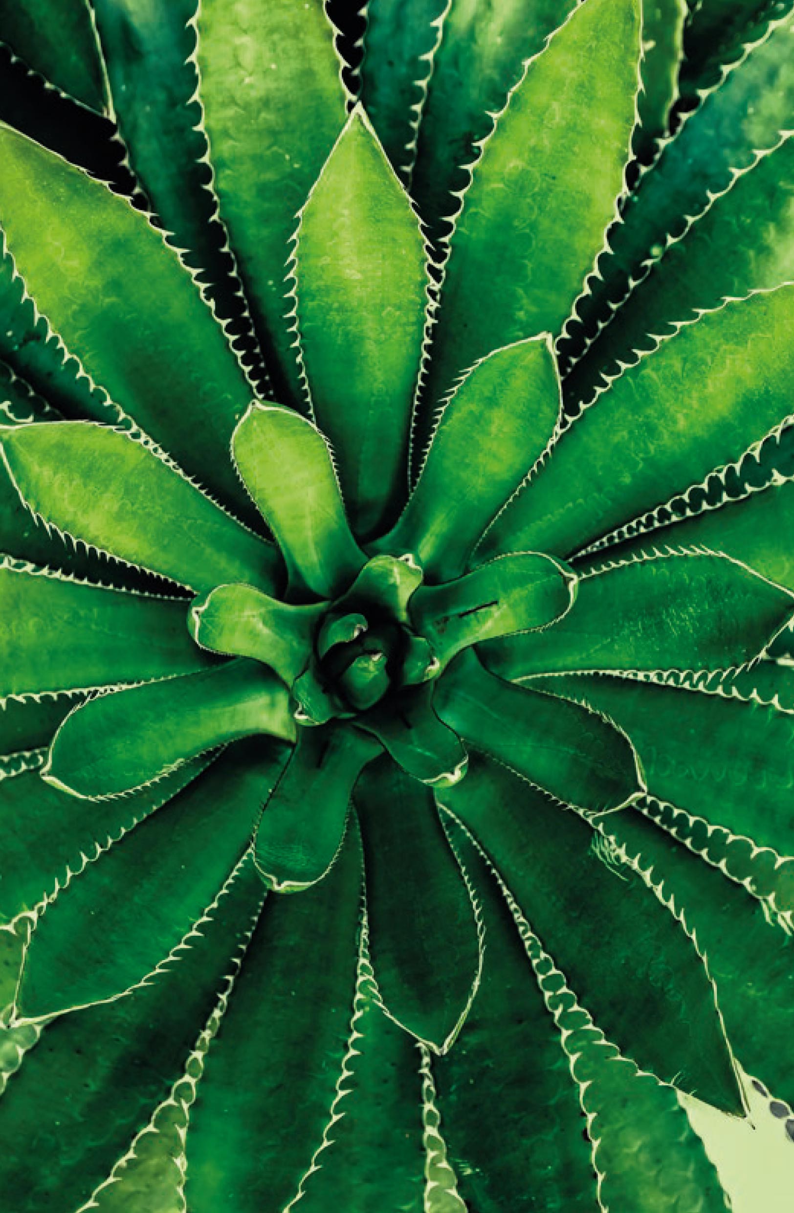 natuurlijkematerialen_ecolife